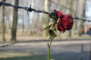 Auschwitz-Batxillerat-SantIgnasi-JesuïtesSarrià