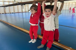 dm llar 2 sant ignasi