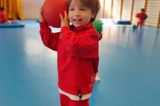 dm llar 2 sant ignasi