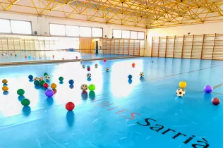 dm llar 2 sant ignasi