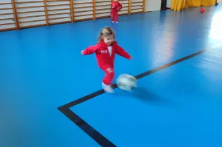 dm llar 2 sant ignasi