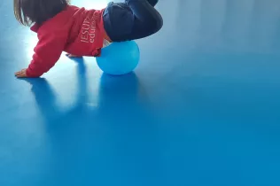 dm llar 2 sant ignasi