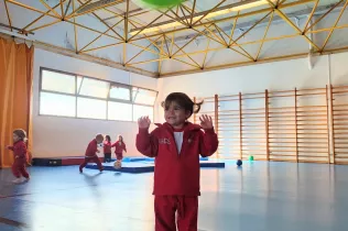 dm llar 2 sant ignasi