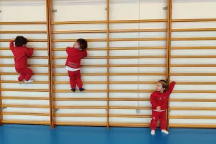 dm llar 2 sant ignasi