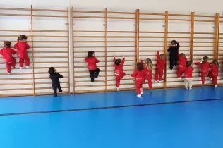 dm llar 2 sant ignasi