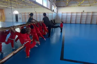 dm llar 2 sant ignasi