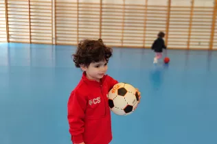 dm llar 2 sant ignasi