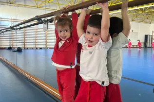 dm llar 2 sant ignasi