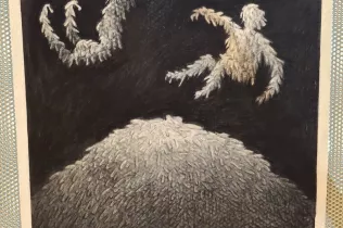 Exposició Identitats