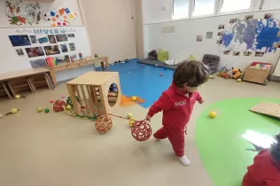 dm llar 1 sant ignasi