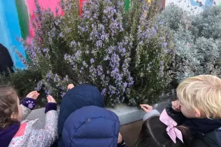 jesarria mopi creixem 2