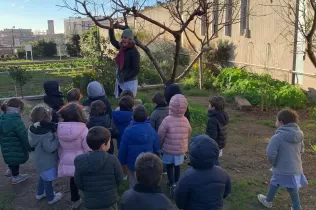 jesarria mopi creixem 3