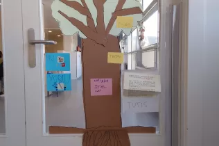 jesarria mopi creixem 4