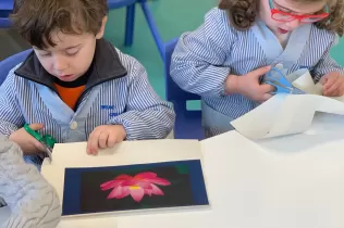 jesarria mopi creixem 5r