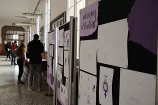 jesarria batxillerat artistic diadeladona 6