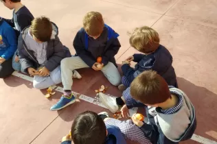 jesarria pin consumfruiteshortalisses 1