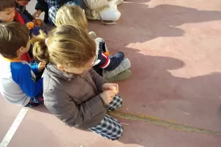 jesarria pin consumfruiteshortalisses 4