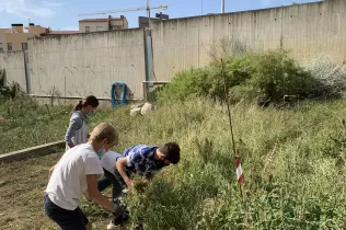 aula natura posada a punt 1