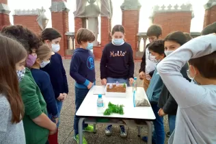 jesarria nei salvemoslatierra 5