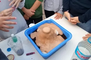 jesarria nei salvemoslatierra 7