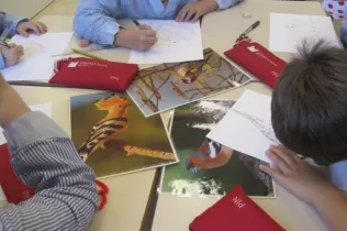 jesarria pin4 caixes de recercajpg 1