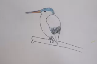 jesarria pin4 caixes de recercajpg 5