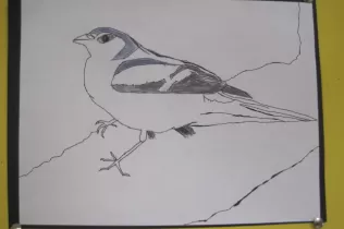jesarria pin4 caixes de recercajpg 6