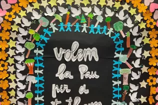 dia de la pau pin 5