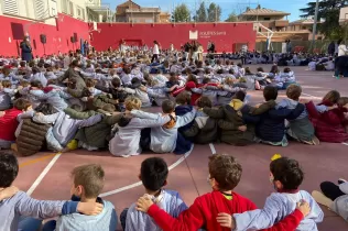 dia de la pau pin 7