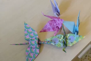 dia e la pau nei 1r i 2n 4