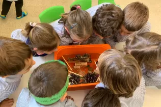 mopi jesarria lamagiadelaigua 2