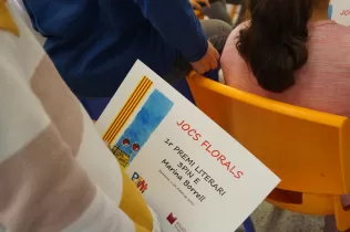 jesarria santjordi pin 15