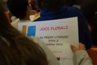 jesarria santjordi pin 16