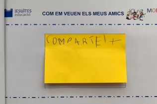 jesarria mopi celebrem 5