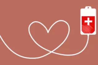 ho portem a la sng banner2