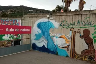 sin titulo 4