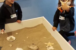 jesarria infantil mopi ciencia 2