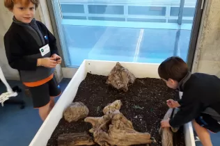 jesarria infantil mopi ciencia 4