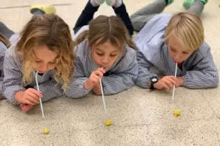 jesarria mopi energia eolica 4