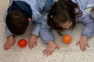 jesarria mopi energia eolica 7