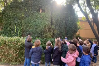 jesarria mopi node escultura 2