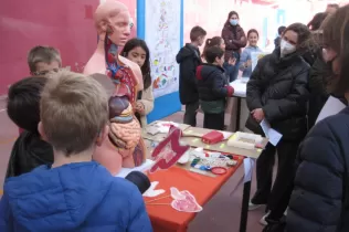 fira digestio pin4 jesarria 10