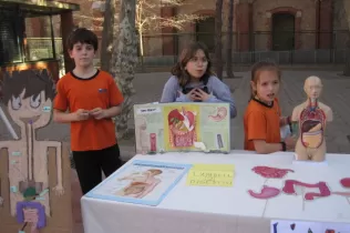 fira digestio pin4 jesarria 13