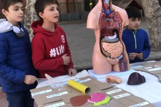 fira digestio pin4 jesarria 8r