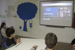 jesarria sid 22 pin cm 1