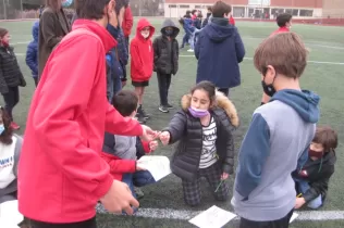 jesarria sid 22 pin cm 6