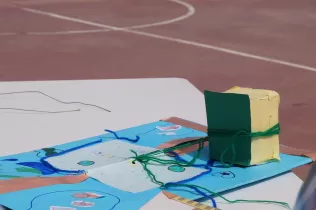 jesarria pin2 tresoraigua 3w