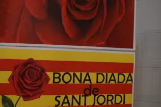 sant jordi 25