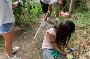 jesarria auladenatura nei6 2