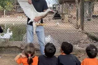 jesarria mas casablanca 3